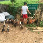 Tengxian Ruyi Farm Holiday House