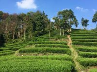 杭州清茶客栈 - 酒店附近