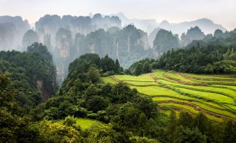 ZhangJiaJie Jianwai Qijing Resort