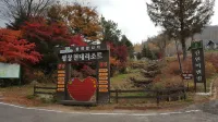 평창 현대스위트빌리지 - 방갈로