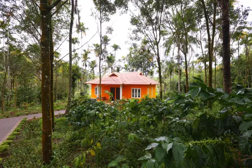 Himadri Retreat Cottages