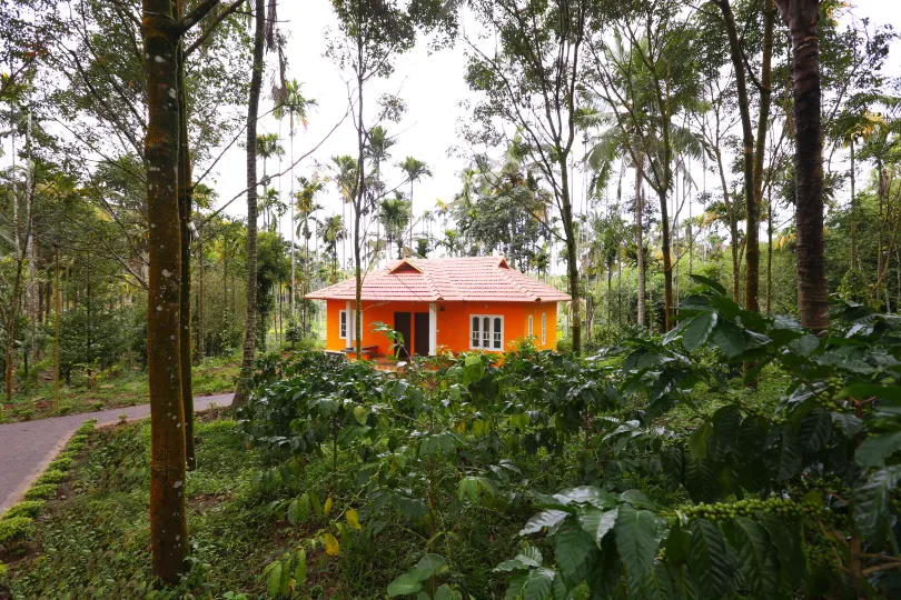 Himadri Retreat Cottages