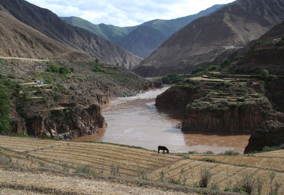 송찬 루메이 로지