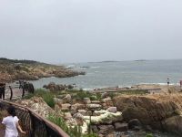 青岛鑫盛海公寓 - 其他