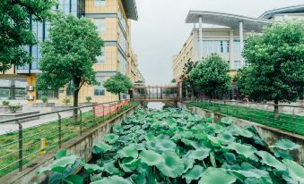 Binhu Business Hotel (Hongyuan Plaza)