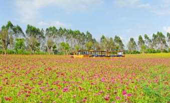 Ying De Sika Deer Forest Tangquan Camp Resort