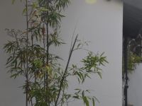甪直甫里泉水巷民宿 - 通裕独栋