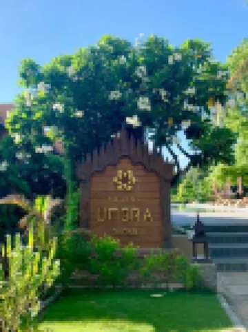 The Hotel Umbra Bagan Hotels in 
