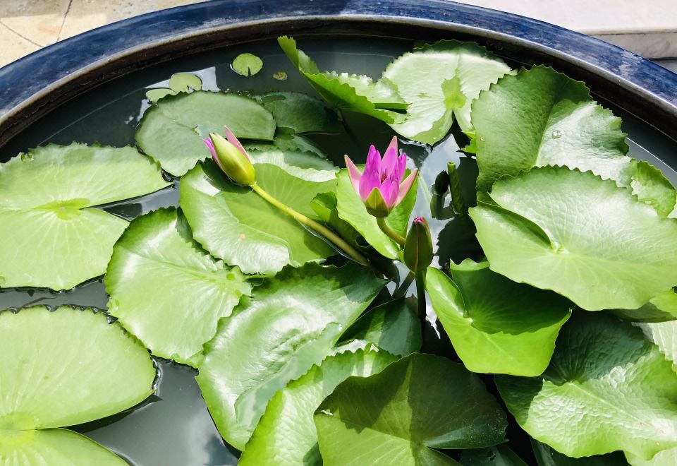 뎅 파 호스텔 이미지 2