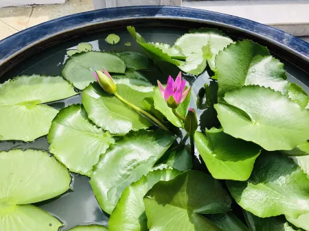 Deng Ba Hostel Bangkok