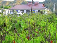 宽甸青山民宿农家院 - 花园