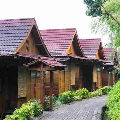 The Onsen Hot Spring Resort Hotel Exterior