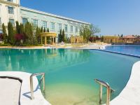 齐河欧乐堡骑士度假酒店 - 室外游泳池