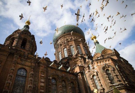 트루고호틸 호텔 로비