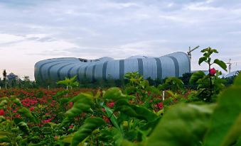 Ocean flower island Agean sea hotel
