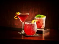 Rembrandt Hotel Nha Trang - bar