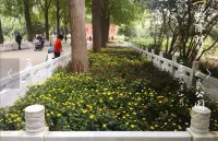 Zhengzhou Xincheng New Youth Inn (Zhengzhou Railway Station Erqi Square) - Hostels