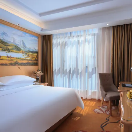 Vienna Hotel (Jixi High-speed Railway Station)