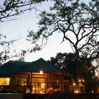 Flameback Eco Lodge Hotel Exterior