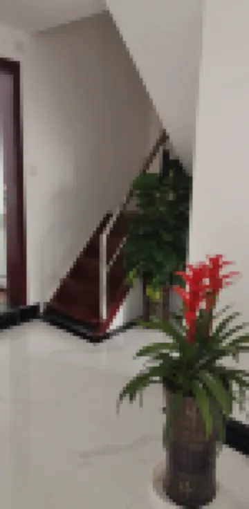 Duyun set up an apartment