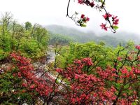 天堂寨天顺度假山庄 - 酒店附近