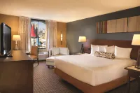 Excalibur Hotel Casino Las Vegas - Barer