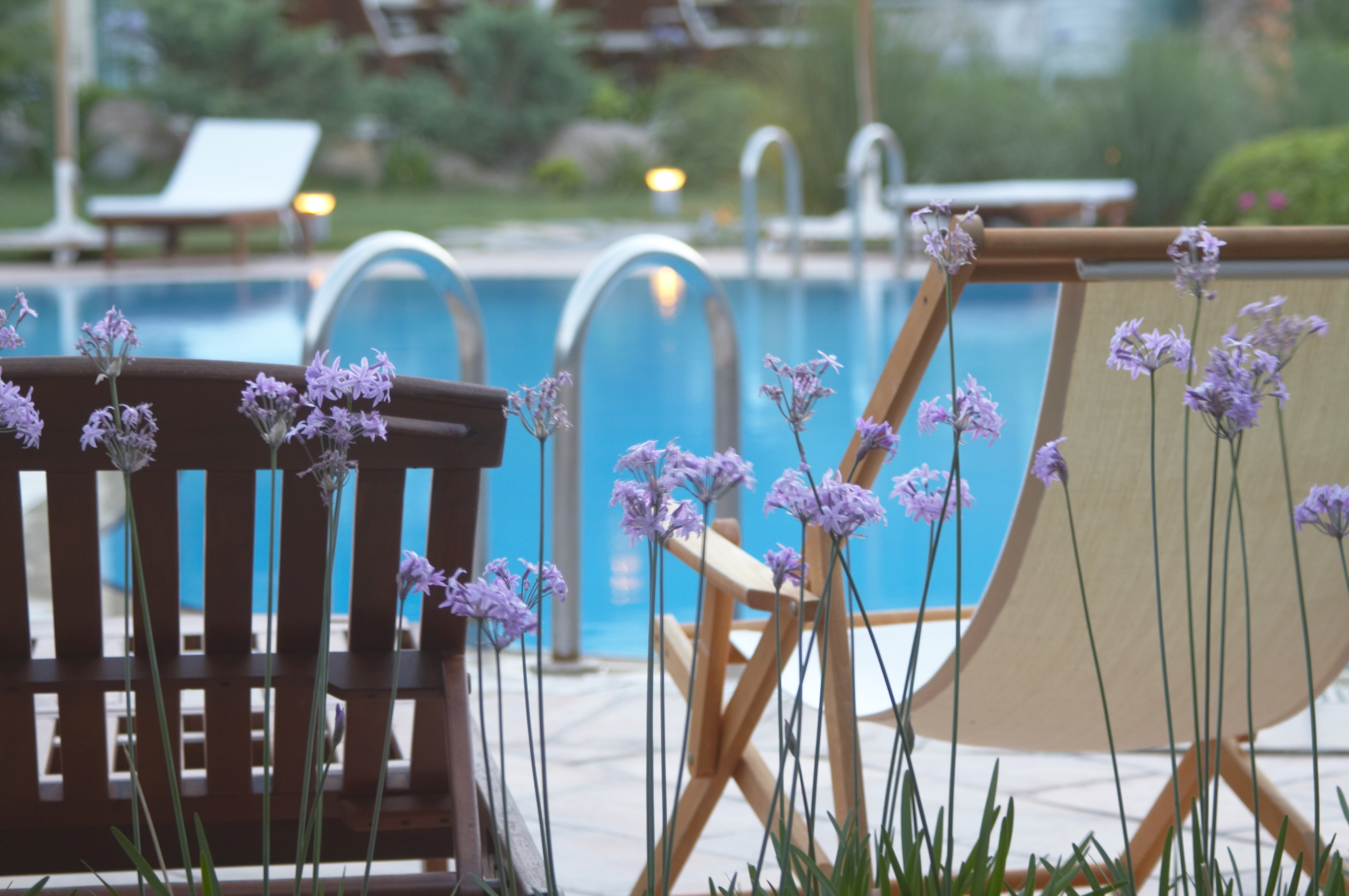 The Lifeco Bodrum Wellbeing & Detox Center Mugla