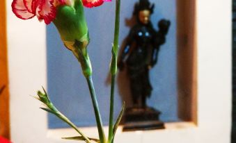 Shangri-La Moonlight City Bodhi Heart Retreat (Dukezong Old Town Branch)