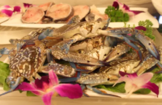 Sanya Shengyi Seaview Hotel