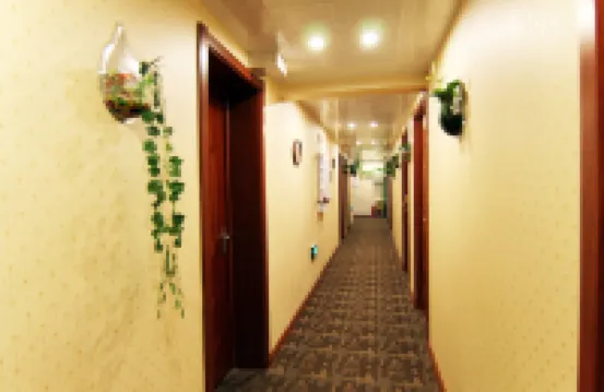 Binge Theme Hotel
