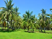 三亚湾阳光海岸海景度假公寓 - 酒店附近