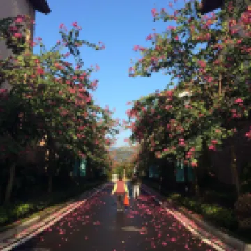 Longmen Poly Tour Nankunshan Holiday Villa