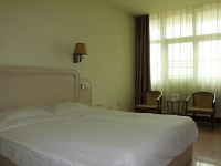 巨野五洲宾馆 - 普通大床房
