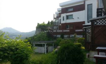 Gureumbalchi Pension Gapyeong