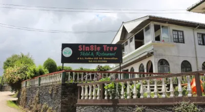 Single Tree Hotel فنادق في Nanuoya