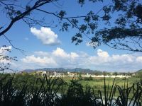 武夷山韵杰茶会所别墅酒店 - 酒店景观