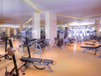 濟南綠髮貴和洲際酒店 - 健身室/gym room