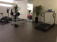 Best Western Plus Au Cheval Blanc Mulhouse Nord - Fitnessstudio