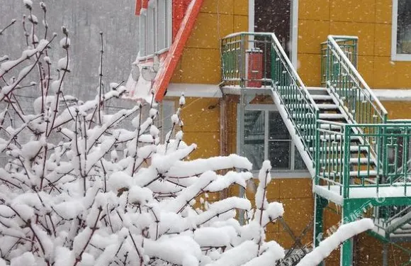 託巴扎曼達林旅館