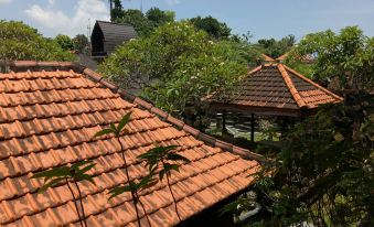 New Ubud Hostel