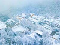 九华山静娴山庄 - 豪华套间