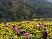 婺源登高山居民宿 - 酒店附近