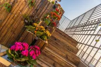 Yuleju Chinese Inn (Nan'ao Island)