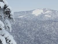 雪谷丁子涵时尚家庭旅馆 - 酒店附近