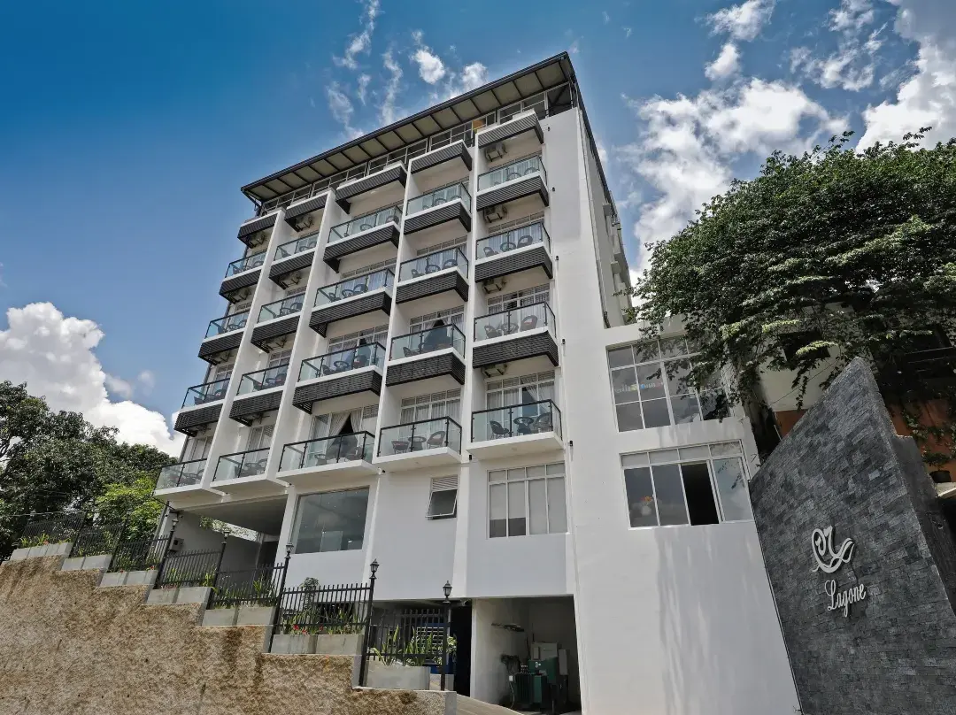 Lavendish Hills Kandy - Kandy