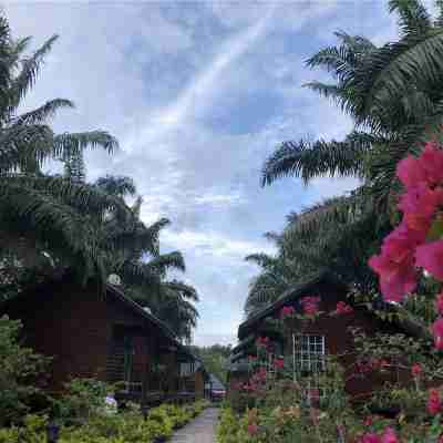 The Wizard of Oz Resort Semporna Hotel Exterior