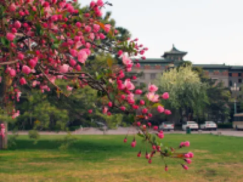 北京友誼ホテル 頤和園周辺のホテル