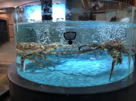 Jinhai International Hotel (Yueyang Tower Pedestrian Street) Отели рядом с достопримечательностью «Bianhe Street»