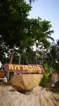 Lipa Lodge Beach Resort Hotels in Koh Samui