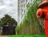 Holiday Inn Express YA'AN CITY CENTER by IHG Hotels in Ya'an